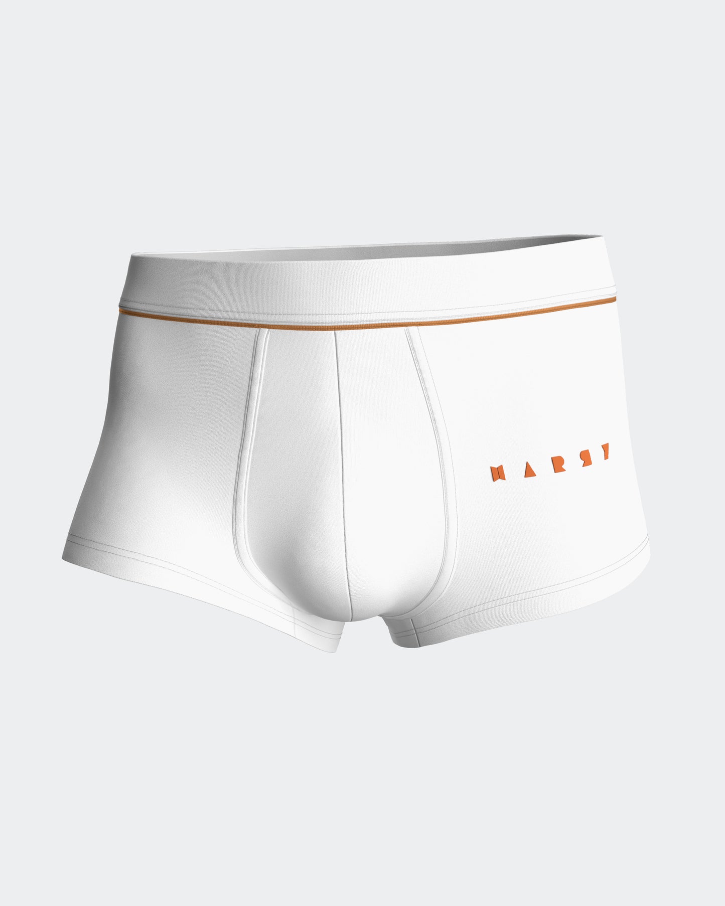 Hayes Boxer Trunk